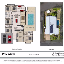 12-Cycad-Plan_w2600