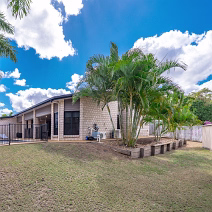 DSC_0404-Z5II-12 CYCAD_SOC1