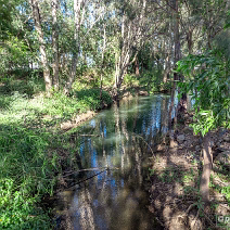 DJI_0268-DxO_DeepPRIME 3_SOC1
