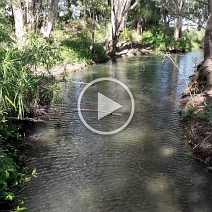 DJI_0296 (1)