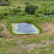 DJI_0457-149 SALMON-DxO_DeepPRIME 3_SOC1