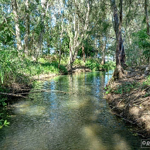 DJI_0283-DxO_DeepPRIME 3_SOC1