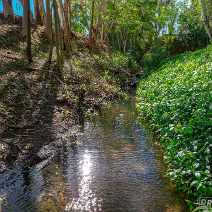 DJI_0293-DxO_DeepPRIME 3_SOC1