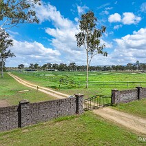 DJI_0392-DxO_DeepPRIME 3_SOC1